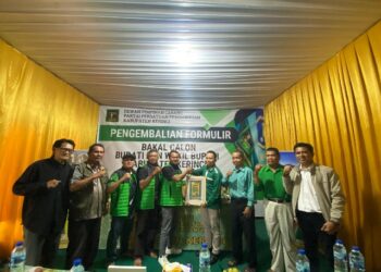 Tim Darmadi saat menyerahkan formulir pendaftaran ke DPC PPP