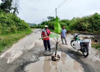 Tak Kunjung di Perbaiki Pemerintah, Warga Tanam Pohon Pisang Tengah Jalan