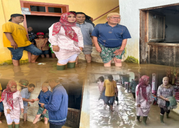 Rika Tafyani saat berkunjung ke lokasi Banjir Tanjung Tanah
