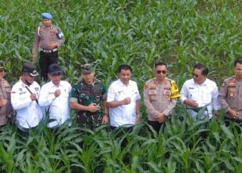 Foto bersama saat mengikuti Panen Jagung Serentak Tahap I