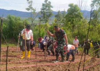 Kodim 0417/Kerinci saat ikut menanam pagi Gogo di Sungai Penuh