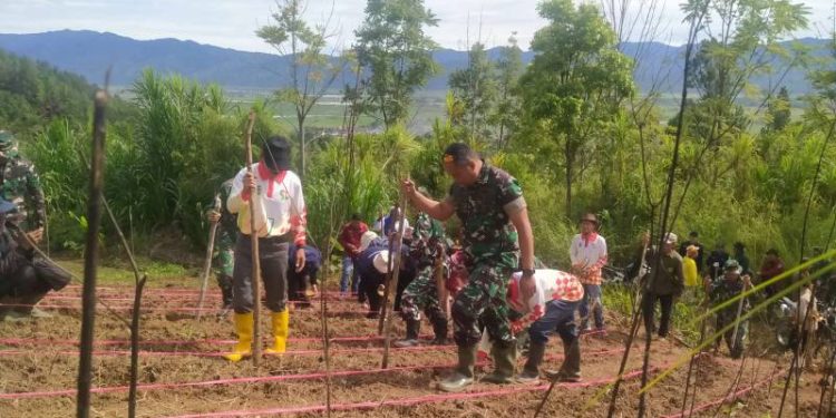 Kodim 0417/Kerinci saat ikut menanam pagi Gogo di Sungai Penuh