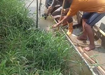 Saat warga mengevakuasi mayat di sungai Batang Merao