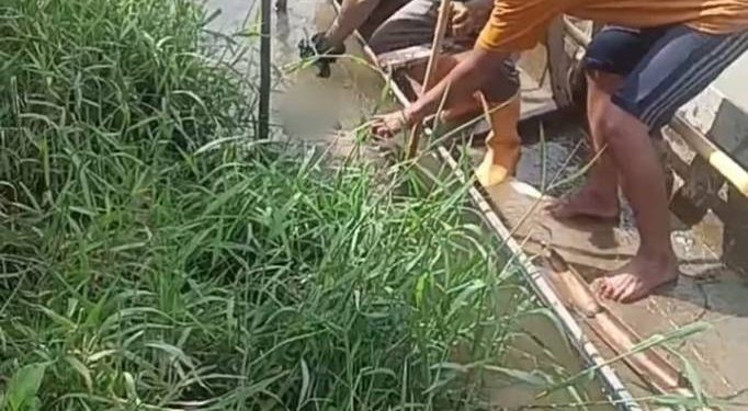 Saat warga mengevakuasi mayat di sungai Batang Merao