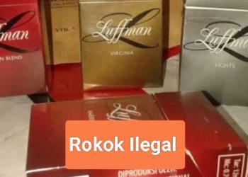 Oplus_131072