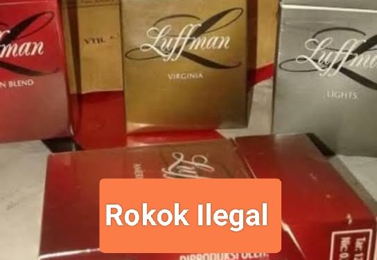 Oplus_131072