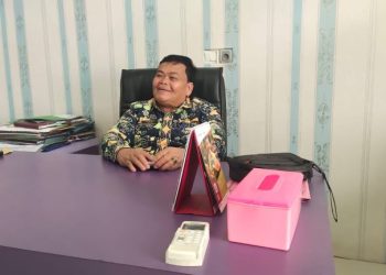 Efrawadi, Kepala BKPSDM Kerinci