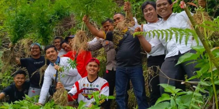 Saat Polisi menemukan ladang ganja