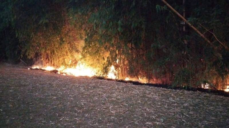Kebakaran Lahan Nyaris merembet Pemukiman warga di Sebukar