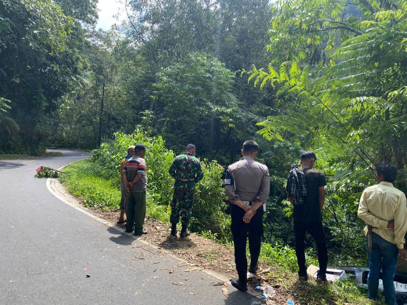 Ini kronologis Mobil Terjun dalam Jurang jalan Sungaipenuh-Tapan