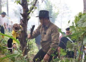 Dipimpin Walikota Alfin Taman Bunga Sungai Penuh dibersihkan