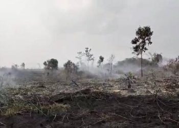 Terkendala sumber Air, Kebakaran Lahan Muaro Jambi meluas