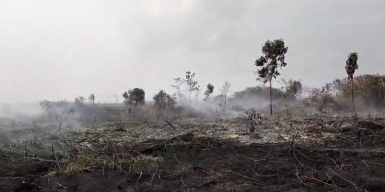 Terkendala sumber Air, Kebakaran Lahan Muaro Jambi meluas