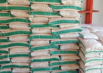 Harga Beras Terus Mengalami Kenaikan, Cek Harganya