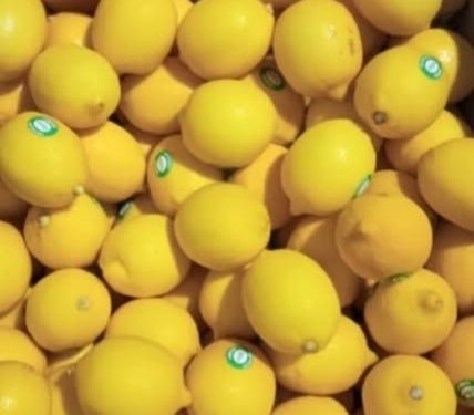 Buah Lemon