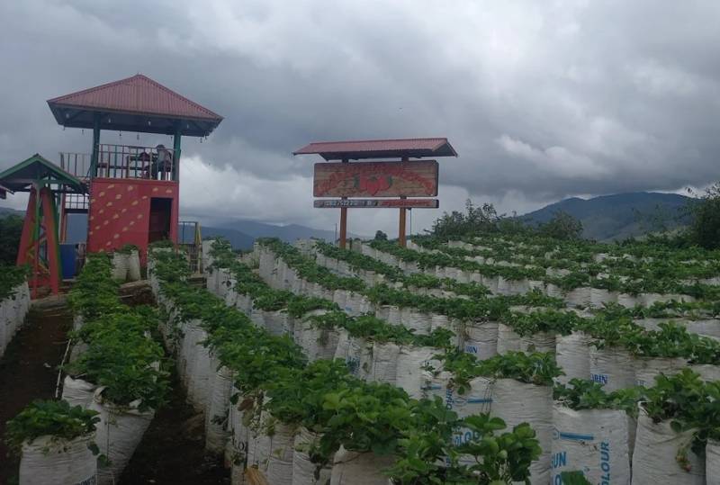 Tempat Wisata Paling Nyaman di Alahan Panjang