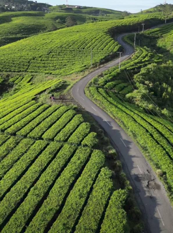 Rekomendasi Tempat Wisata 2025 di Negeri Sepucuk Jambi Sembilan Lurah 