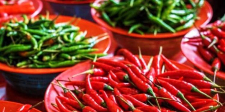 Tips Menyimpan Cabai Tidak Cepat Layu dan Tahan Lama