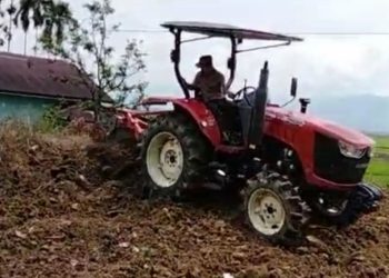 Pemdes Baru Sungai Deras Sulap Bekas TPS Jadi Lahan Produktif
