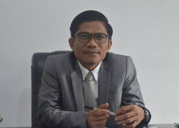 Saiful Roswandi, Kepala Ombudsman RI Perwakilan Jambi