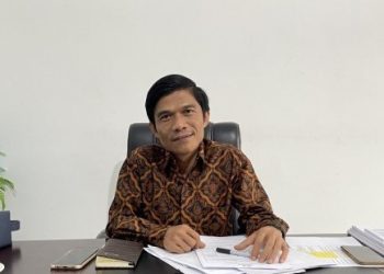Saiful Roswandi, Kepala Ombudsman Perwakiila Jambi