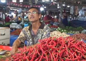 Harga Cabai Masih Pedas, Pelaku Usaha Catering di Jambi Menjerit