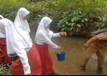 Murid SD 102/VI Merangin Terpaksa Jalan 2 Kilometer
