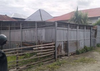 Kandang ternak sapi di tengah pemukiman warga