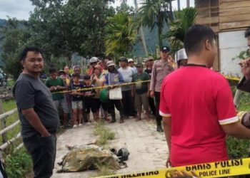 Lokasi TKP penemuan Mayat di desa Sembilan Tanah Lampung