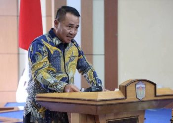 Respon Alfin: Isyarat Menolak Halus jadi Ketua DPD PAN Sungai Penuh