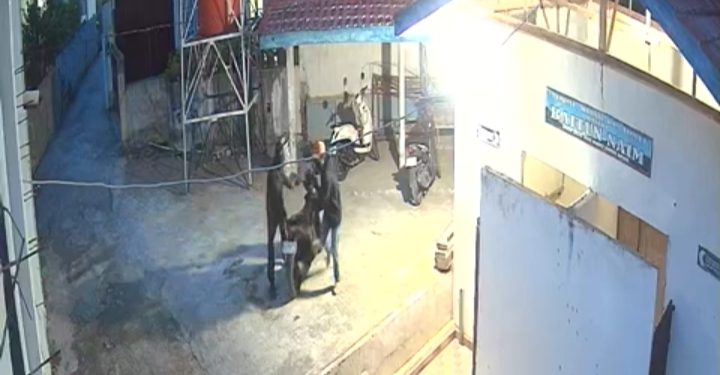 Aksi pencurian terekam CCTV di masjid Kumun