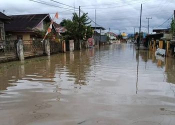 Banjir di Desa Lubuk Suli Kecamatan Depati Tujuh beberapa waktu lalu