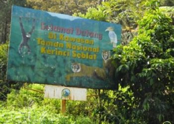 Kejari Sungai Penuh Garap Dugaan Penjualan Lahan TNKS