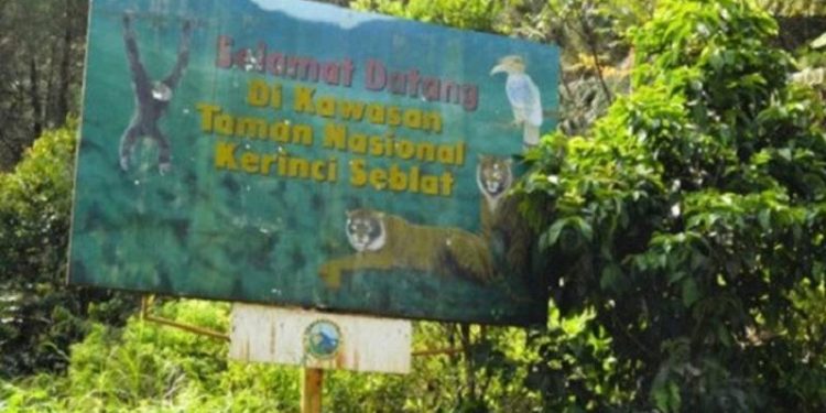 Kejari Sungai Penuh Garap Dugaan Penjualan Lahan TNKS