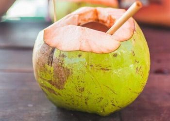 Kesehatan Seperti Ini Tidak Baik Minum Air Kelapa