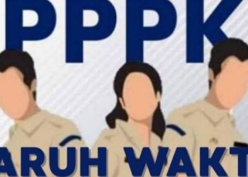 PPPK Paruh Waktu Tetap Dapat THR dan Gaji Ke-13