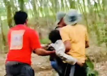 Seorang Kades Tewas Terinjak Gajah di Perbatasan Way Kambas