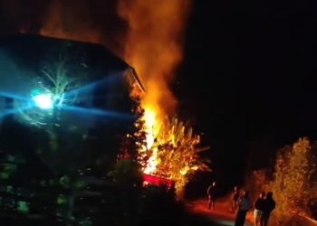 Kondisi saat kebakaran di kandang ternak sapi