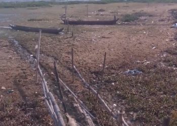 Terlihat danau Kerinci di pinggir desa Ujung Pasir sudang mengalami kedangkalan