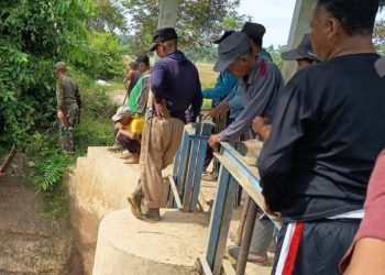 533 Hektare Sawah di Betung Bedarah Timur Tebo Terancam Gagal Tanam