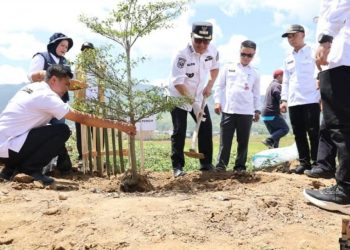 Pemkot Sungai Penuh Gelar Gerakan Tanam Pohon