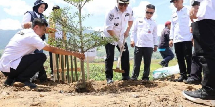 Pemkot Sungai Penuh Gelar Gerakan Tanam Pohon