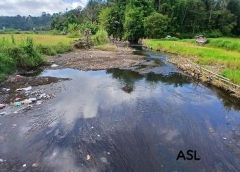 Kodisi Sungai Batang Merangin di Pulau Pandan yang mulai mengering