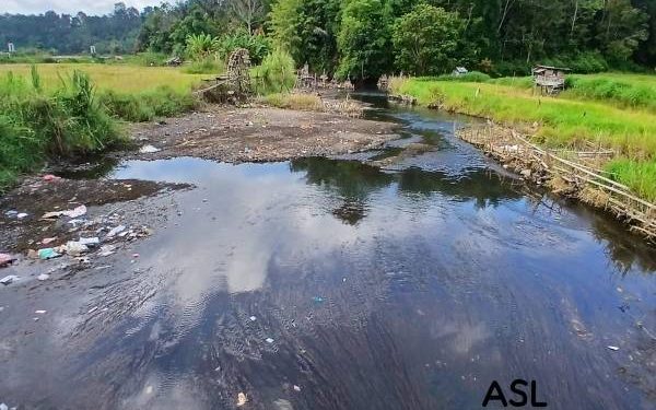 Kodisi Sungai Batang Merangin di Pulau Pandan yang mulai mengering