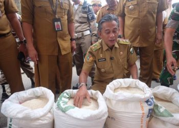 Wabup Muaro Jambi Sidak Pasar Sengeti