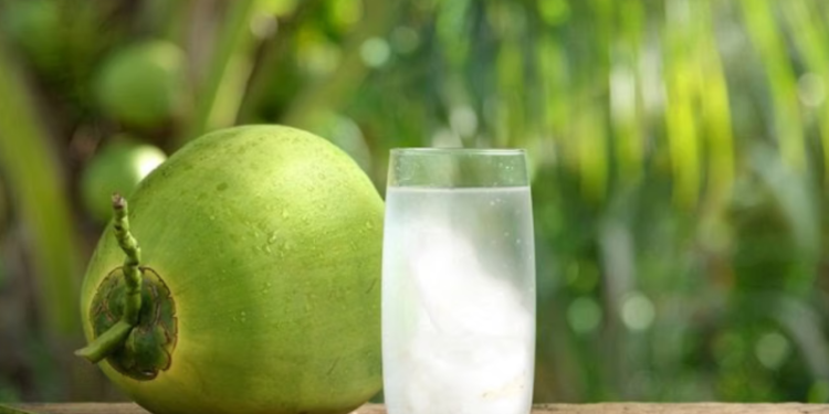 Konsumsi Air Kepala Muda Tidak Selalu Aman