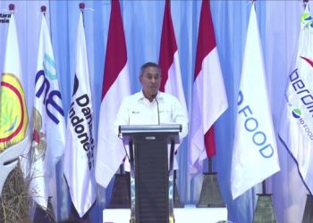 6 Provinsi Akan Miliki Hilirisasi Ayam, ID FOOD Targetkan Pendapatan Peternak Tembus Rp81 Triliun per Tahun