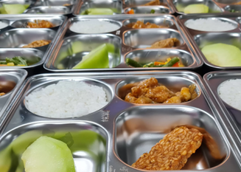 BGN Hentikan Sementara 9 Dapur Program MBG di Gresik