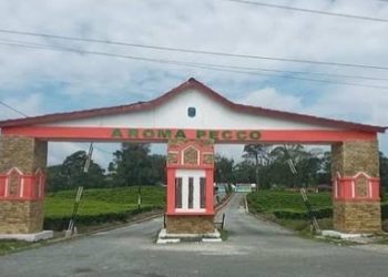 Pintu masuk objek wisata Aroma Pecco Kerinci