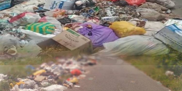 Sampah Menumpuk di Sejumlah Titik